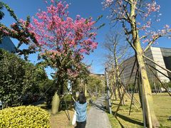 -广州市城市规划展览中心
