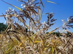 -永定河休闲森林公园