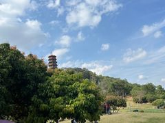 -红花山公园