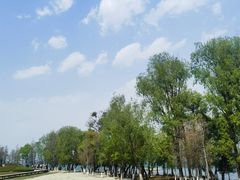 -大理洱海