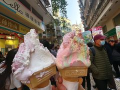 -柠檬车露(卖草地店)