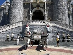 -蓬莱欧乐堡梦幻世界