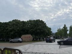 -金陵图书馆