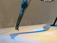 -秦始皇帝陵博物院(兵马俑)