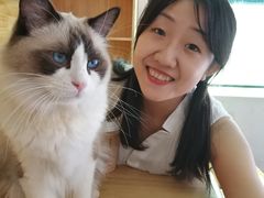 -喵屿·大理花园猫咖