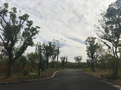 -上海长兴岛郊野公园