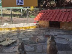 -牛鱼嘴原始生态风景区