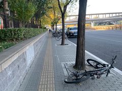 -中关村茶点