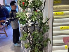 -龚海宝· 烧烤· 羊肉原切挂糊更好吃(庄市店)