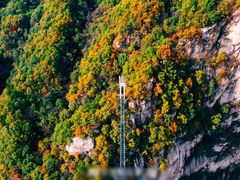 -洛阳白云山景区