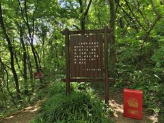 -句容茅山景区