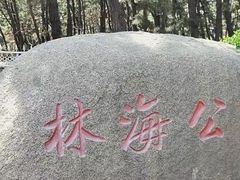 -林海公园