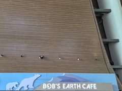 -抱抱地球咖啡馆(国家海洋博物馆店)