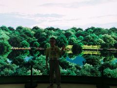 -溱湖国家湿地公园