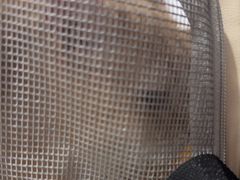 -瑞鹏宠物医院·爱宠堂·骨外专科(西荷分院)