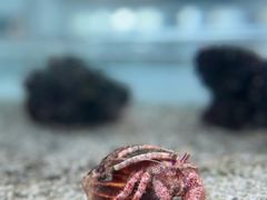 -上海自然博物馆
