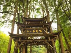 -青城山