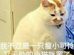 -成都金融城演艺中心