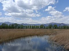 -野鸭湖国家湿地公园