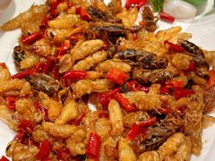 -外滩·云南人家(昆明旗舰店)