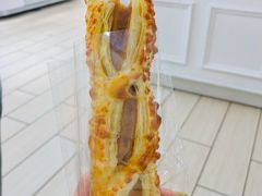 -蒲公英(五里店)