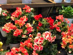 -果蔬好生活超市(乐堤港店)