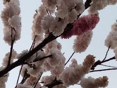 -洛龙公园