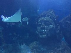 -暹罗海洋世界