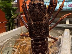 -万龙洲海鲜(南新仓店)