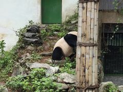 -安吉竹博园