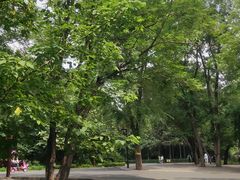 -长春市南湖公园