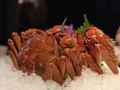 -福玺荟(外滩罗斯福店)