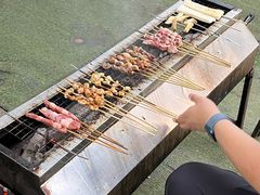-尚庄度假村·庭台树下·户外烧烤·团建CS·轰趴营地(上庄水库店)