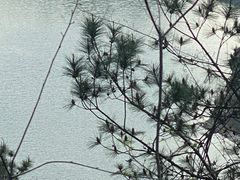 -天台山琼台仙谷景区