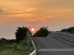 -莲花岛景区