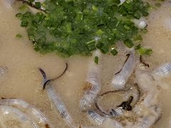 -蠔爺王志德生蚝馆(金沙湾店)