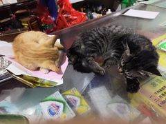 -中广汪海国际影城