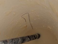 -BeauTea水仙(coco park店)