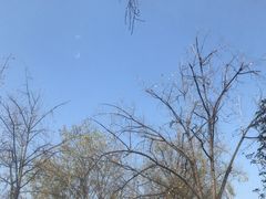 -巴蜀大宅门火锅(北大街店)