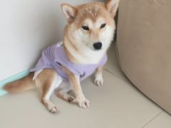 -怪兽屋·羊驼·猫咖·狗咖(俊华广场店)