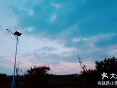 -贝壳沙滩