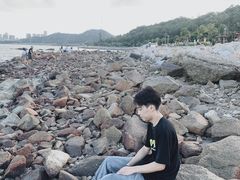 -野狸岛