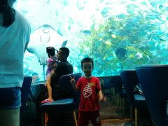 -瑞德姆美人鱼海底演艺主题餐厅(亚龙湾店)