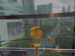 -小大董·烤鸭(观景餐厅·南京西路店)