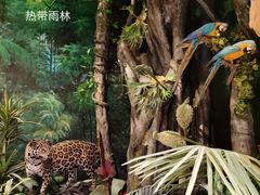 -上海自然博物馆
