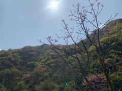 -秦岭风景区