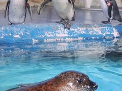 -太平洋海底世界