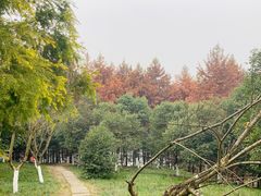 -金海湾滨江公园
