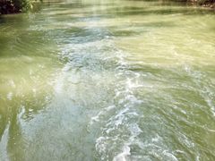 -大湾区中央湿地公园