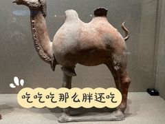 -敦煌市博物馆